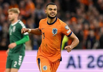 Hollanda evinde Litvanya'yı rahat geçti!