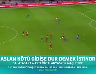 Aslan kötü gidişe dur demek istiyor