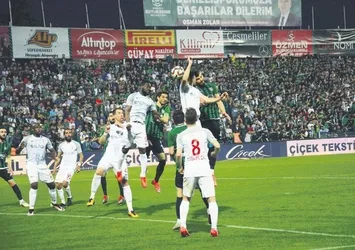 Horoz tekliyor