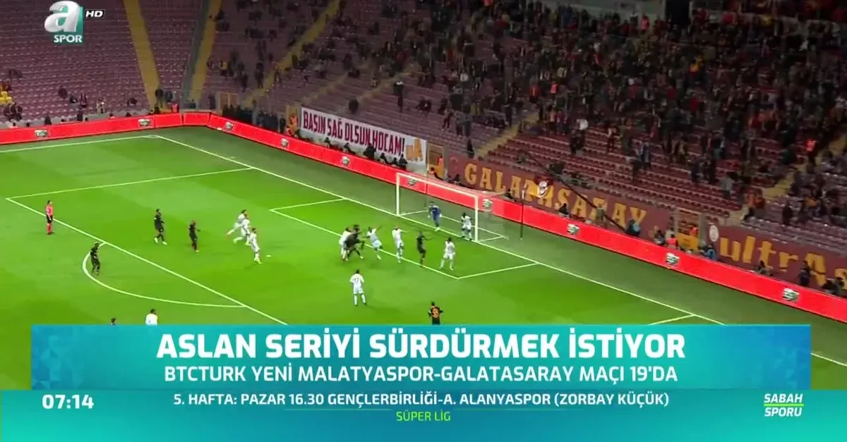 Aslan seriyi sürdürmek istiyor