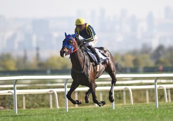 87. Cumhurbaşkanlığı Koşusu şampiyonu Grande Flusso oldu!