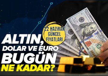 💲1 DOLAR NE KADAR?