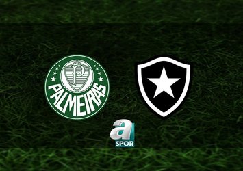 Palmeiras - Botafogo CANLI MAÇ