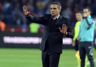 Ersun Yanal: Gerisi gelecek