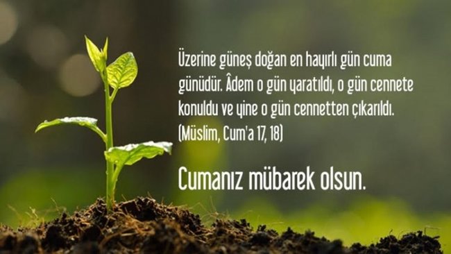 Fenerbahce Sozleri Fb Sozleri Fenerbahce Mesajlari Fenerbahce Marslari Ve Sloganlari Neguzelsozler Com