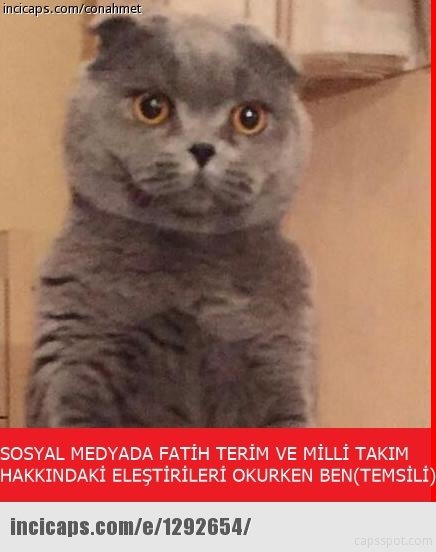 İzlanda-Türkiye mücadelesi capsleri