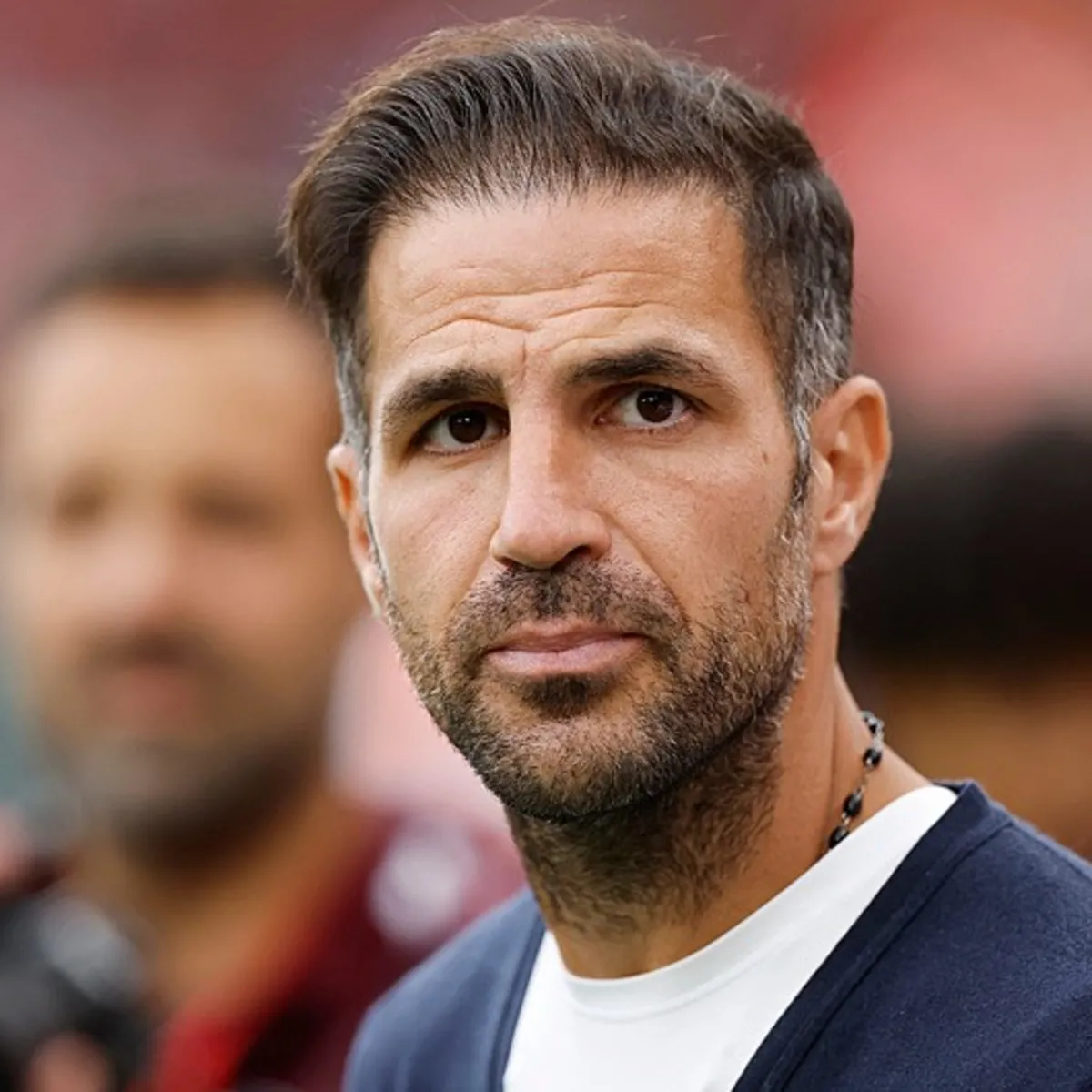 Fabregas'ın gözü Fenerbahçe'de: O transferi bitimeye çok yakın!