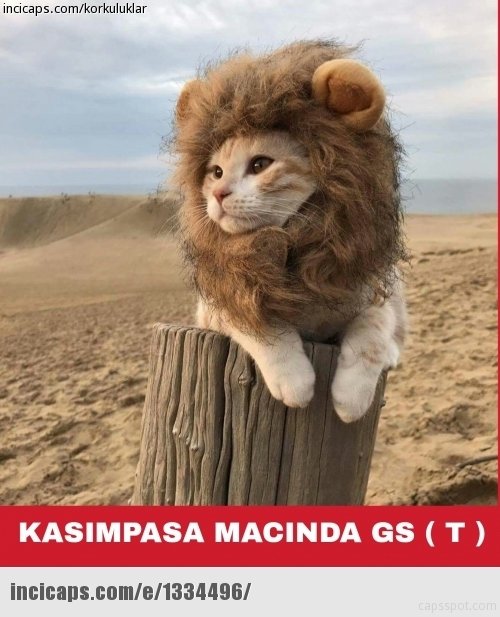 Galatasaray - Kasımpaşa capsleri