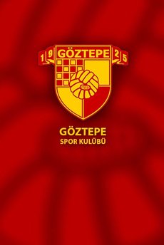 Göztepe, Selçuk Şahin ve Ngando ile anlaştı