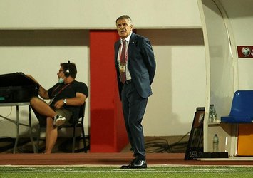 Şenol Güneş: Hollanda maçı farklı olacak