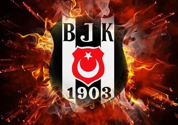 TBF Disiplin Kurulundan Beşiktaş'a para cezası