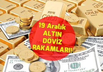 💲1 DOLAR NE KADAR?