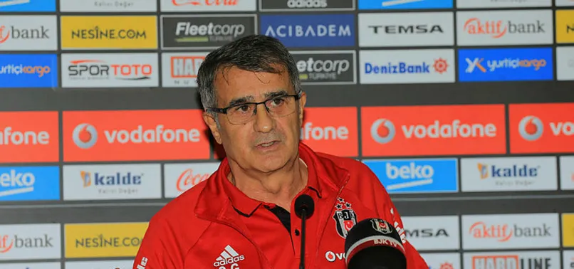 Şenol Güneş'in yeni prensi
