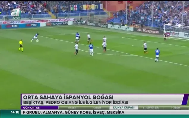 Orta sahaya İspanyol boğası