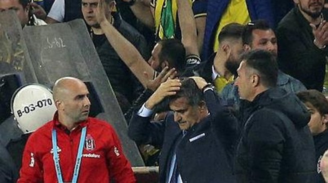 ÐаÑÑинки по запÑоÑÑ kupa senol gunes