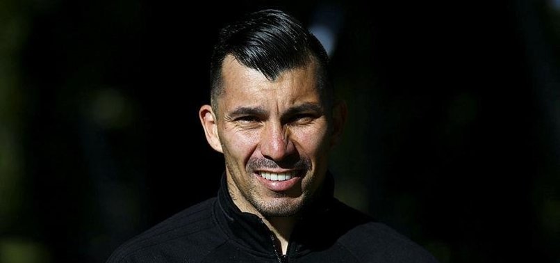gercek pitbull benim aspor