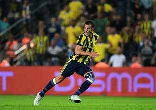 Kocaman'dan van Persie kararı