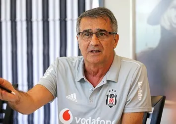 Şenol Güneş: "Biz zoru severiz"