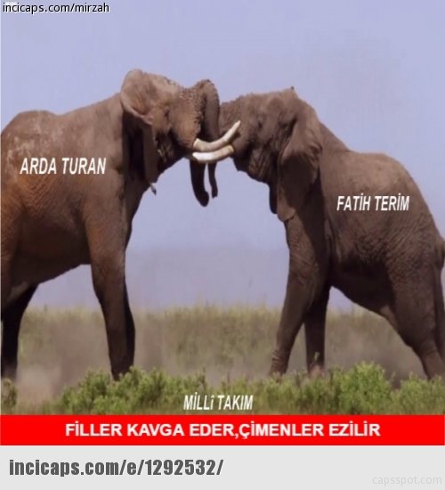 İzlanda-Türkiye mücadelesi capsleri