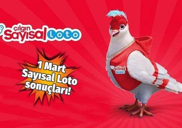 İşte Çılgın Sayısal Loto sonuçları!