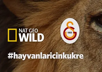 Tebrikler Galatasaray