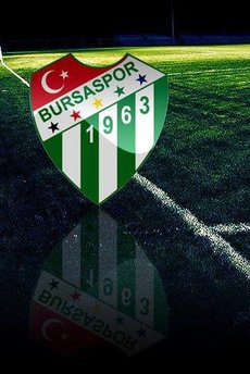 Bursaspor'da bir istifa daha
