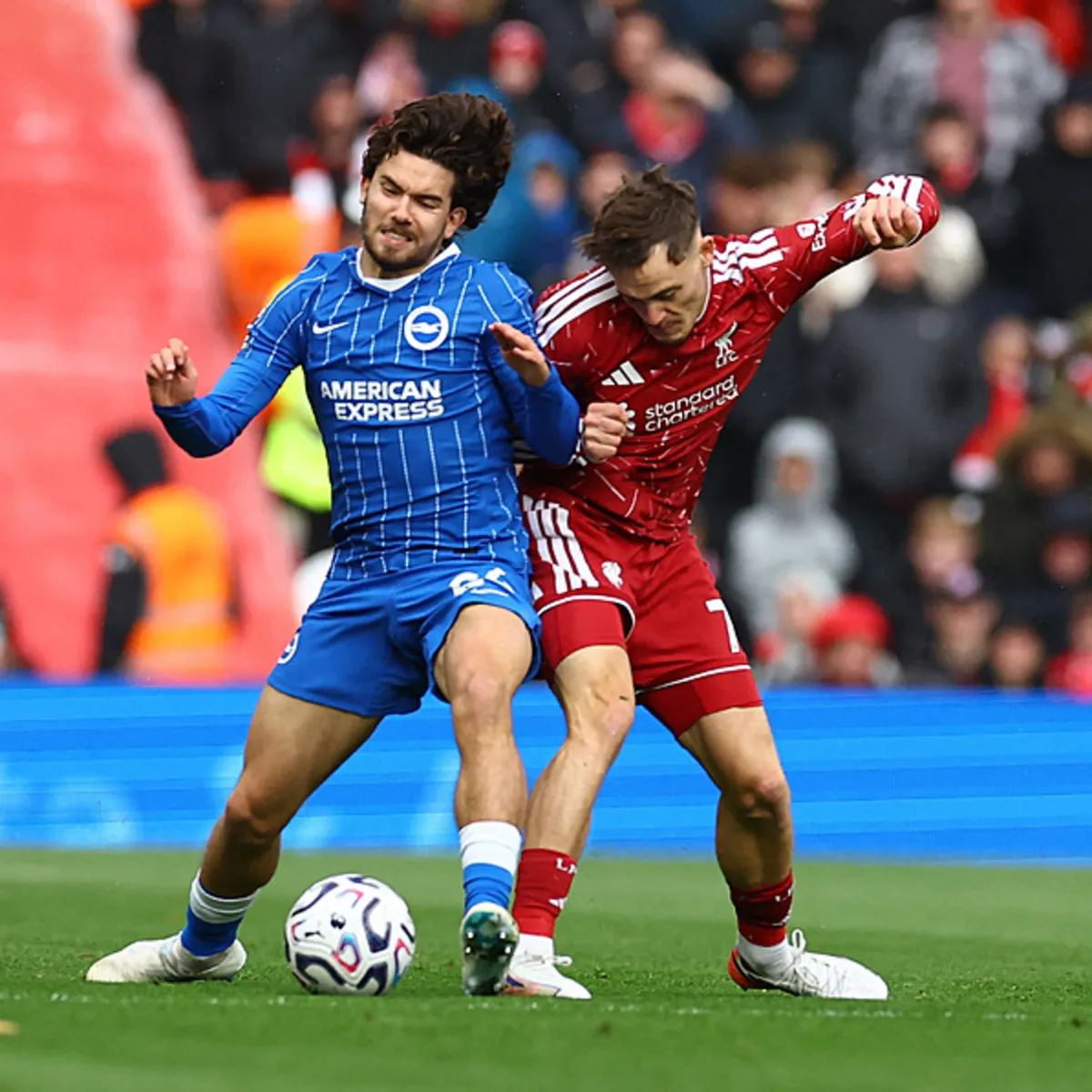 Brighton'da Ferdi Kadıoğlu sakatlandı