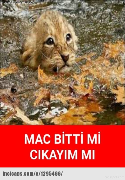 2016 yılının en çok güldüren capsleri