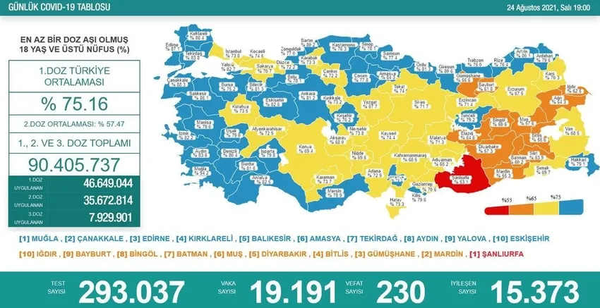 Son dakika haberi: Türkiye'de corona virüsü vakası sayısı kaç oldu? Sağlık Bakanı Fahrettin Koca açıkladı (Türkiye Günlük corona virüsü tablosu - 24 Ağustos) - 1