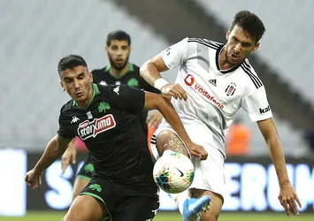 Timsah Umut