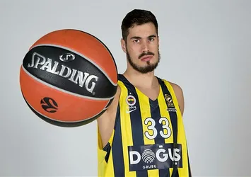 Kalinic isyan etti