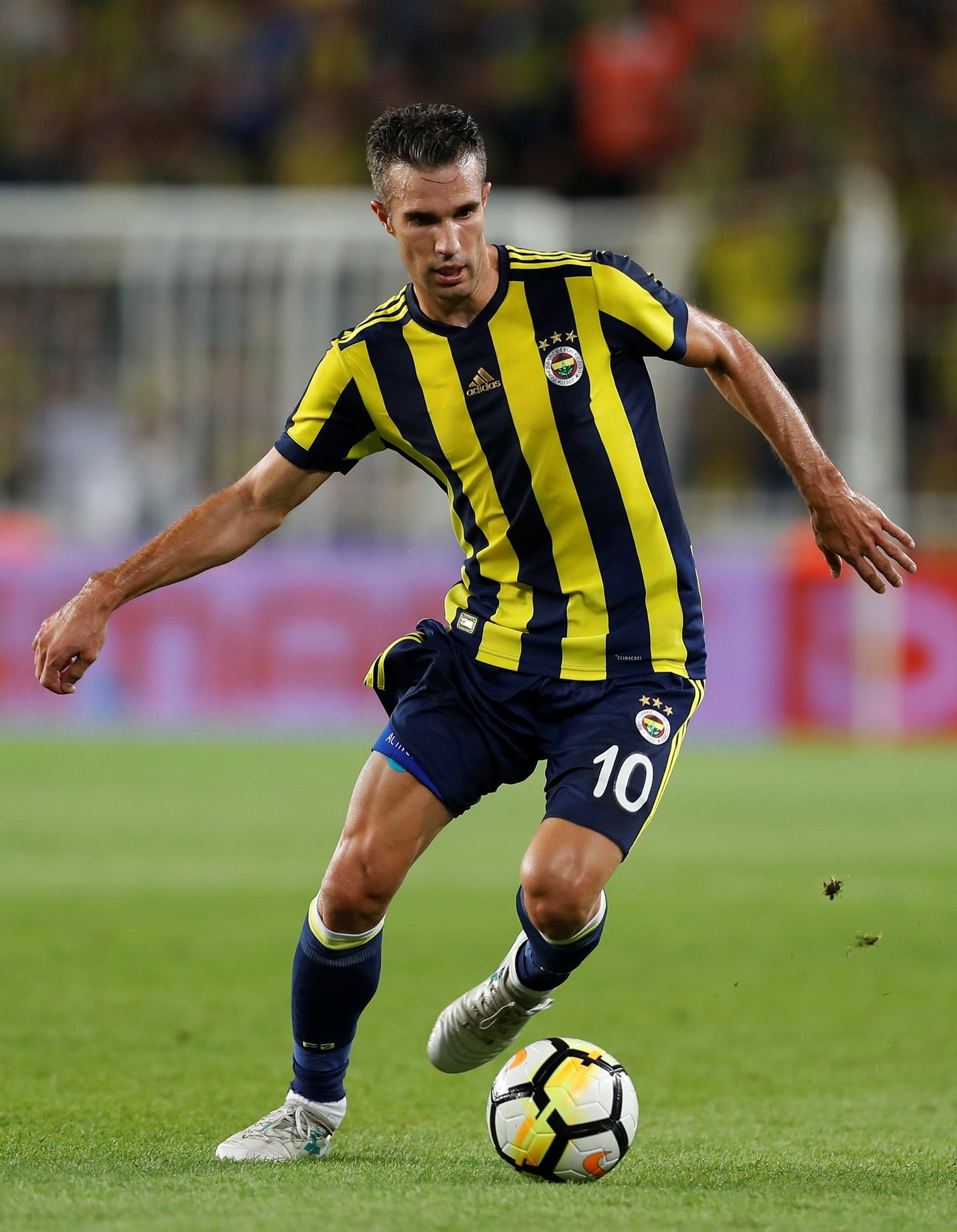 Robin Van Persie Robin Van Persie