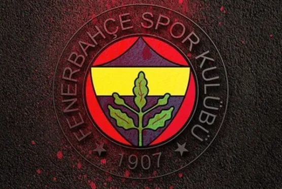 Fenerbahçe'ye 3 teklif birden