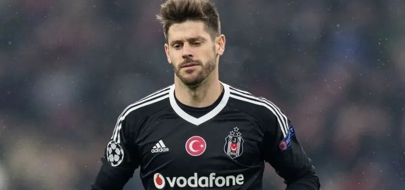 Fabri harekatı