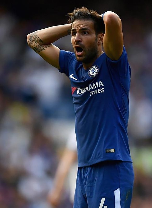 Fenerbahçe’de Fabregas heyecanı!