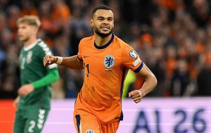 Hollanda evinde Litvanya’yı rahat geçti! İşte maçın özeti