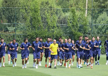 Kanarya İsviçre yolcusu
