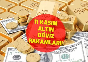 💲1 DOLAR NE KADAR?