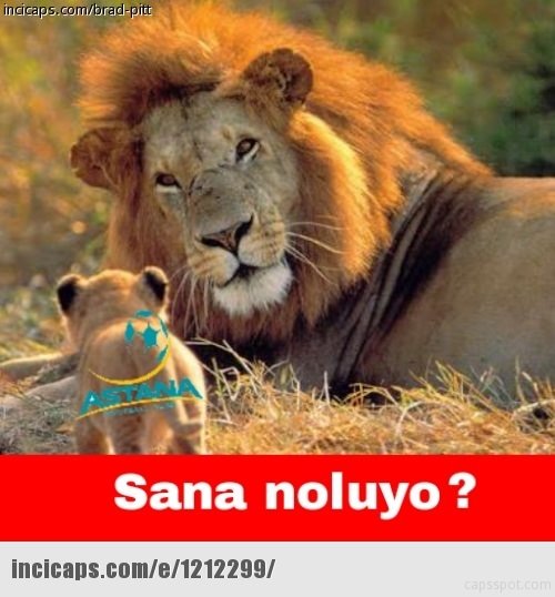 2016 yılının en çok güldüren capsleri