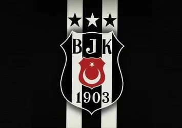 Yeni iş birliği