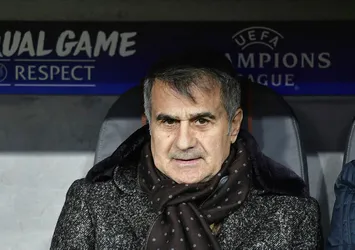 Şenol Güneş: ''En çok üzüldüğüm nokta...''