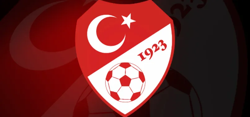 Süper Lig'de 9 takım PFDK'ye sevk edildi