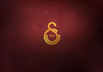 Galatasaray'a PFDK'dan para cezası!