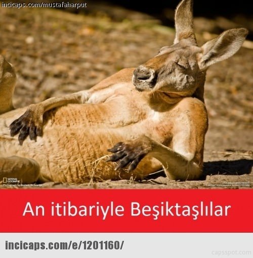 Maç bitti capsler patladı