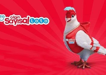 Çılgın Sayısal Loto çekildi!