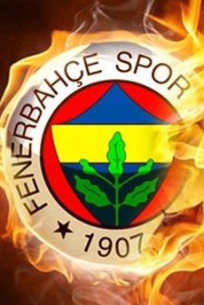 Fenerbahçe'nin golcüsü Serie A'dan