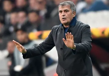 Şenol Güneş'ten tepkiler hakkında açıklama