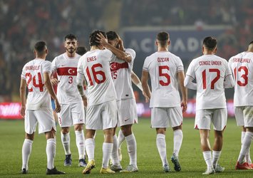 İşte Galler-Türkiye maçının stadı!