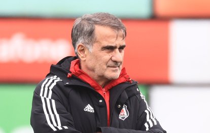 BEŞİKTAŞ HABERİ: Şenol Güneş’ten Cenk Tosun açıklaması!