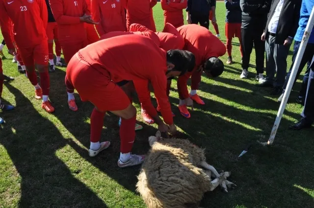 Galibiyet alamayan takım için kurban kestiler - 2